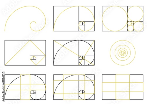 Golden Ratio spiral scheme of proportions, flat vector illustration isolated.