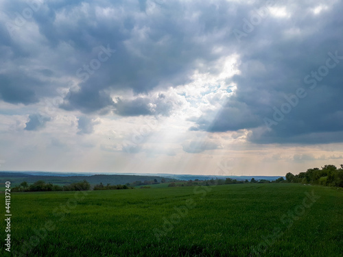 Landscape of a field covered in greenery under a blue cloudy sky in the countryside