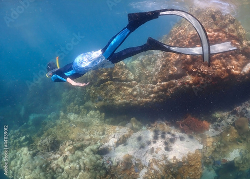 Young man freediver swim underwater, Freediving in tropical ocean at phuket islands photo