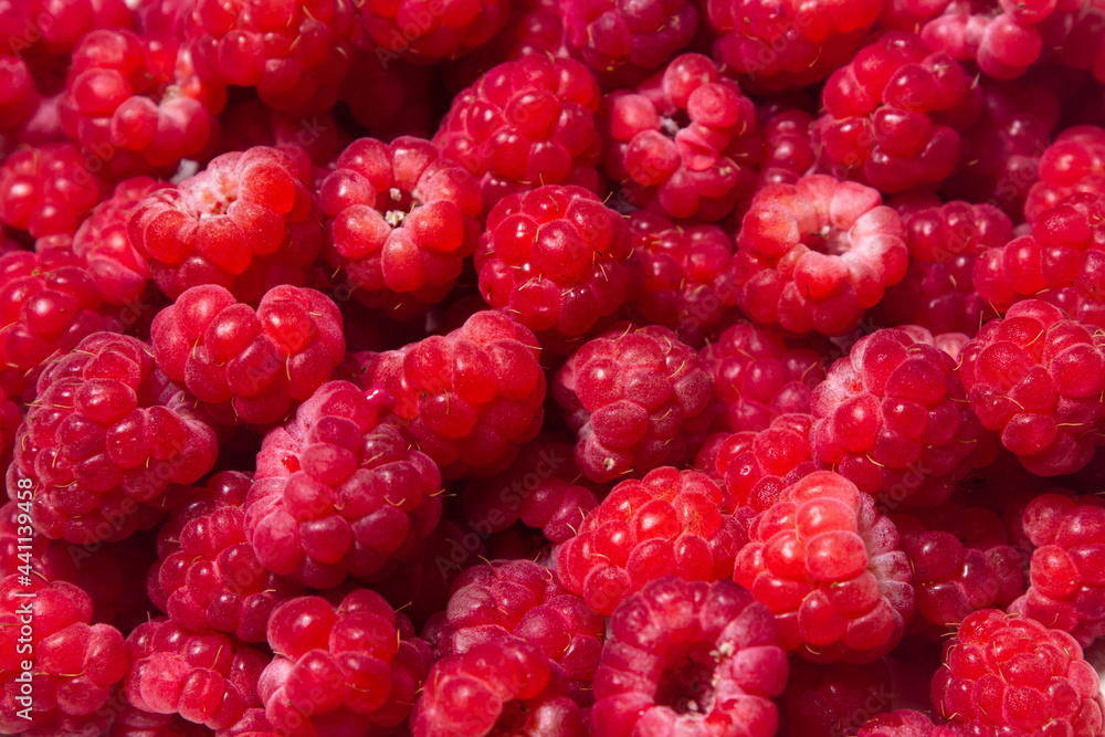 Raspberry background. Red ripe raspberries close-up. Red berry Raspberry background. Red ripe raspberries close-up. Red berry