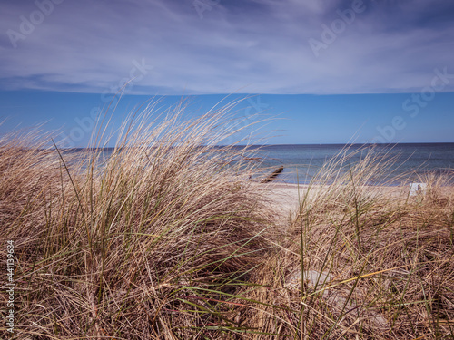 Dünen am Strand an der Ostsee in Deutschland