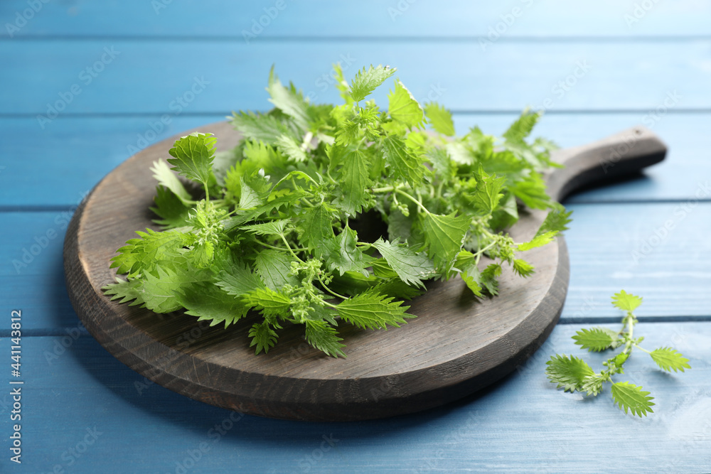 Board with fresh stinging nettle leaves on blue wooden table Board with fresh stinging nettle leaves on blue wooden table