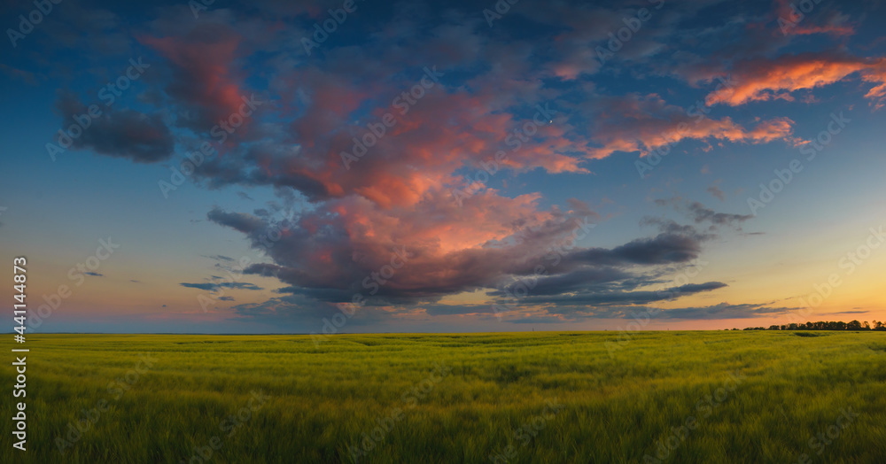 Panoramic view of agricultural fields, beautiful cloud at sunset.