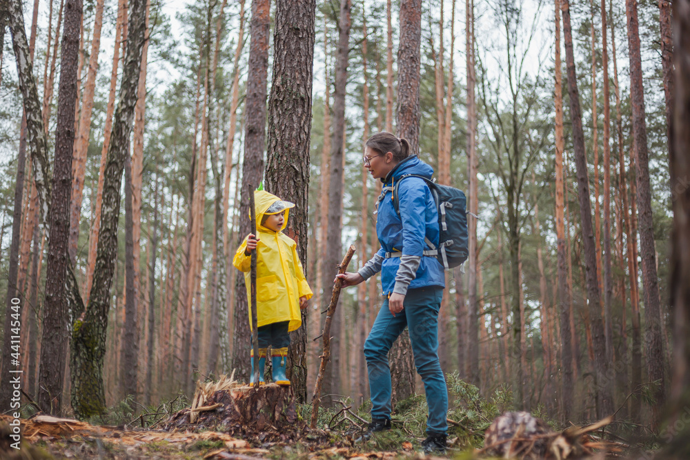 Mom and child walking in the forest after rain in raincoats together Mom and child walking in the forest after rain in raincoats together