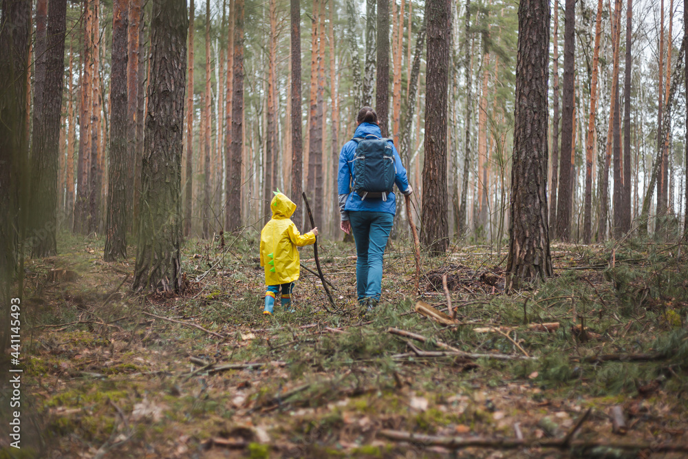 Mom and child walking in the forest after rain in raincoats with wooden sticks in hands, back view Mom and child walking in the forest after rain in raincoats with wooden sticks in hands, back view