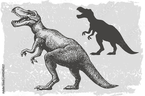 Dinosaur tyrannosaurus grafic hand drawn and silhouette illustration 2