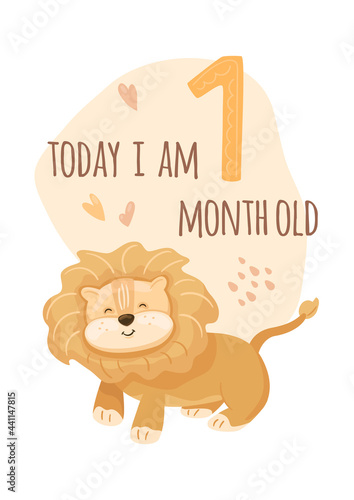Milestone card. Cute smiling lion. Birthday greeting card, poster. Wild animal, kids print, vector illustration in cartoon style. Today i am one month old text. Heart and drop shapes