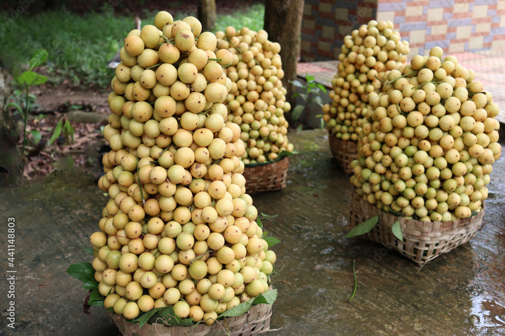 Fototapeta premium tasty baccaurea motleyana stock on basket