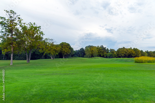 Fototapeta Naklejka Na Ścianę i Meble -  Golf Course with soigne Green Grass in Summer Day