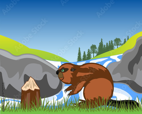 Animal beaver on background of the wild nature