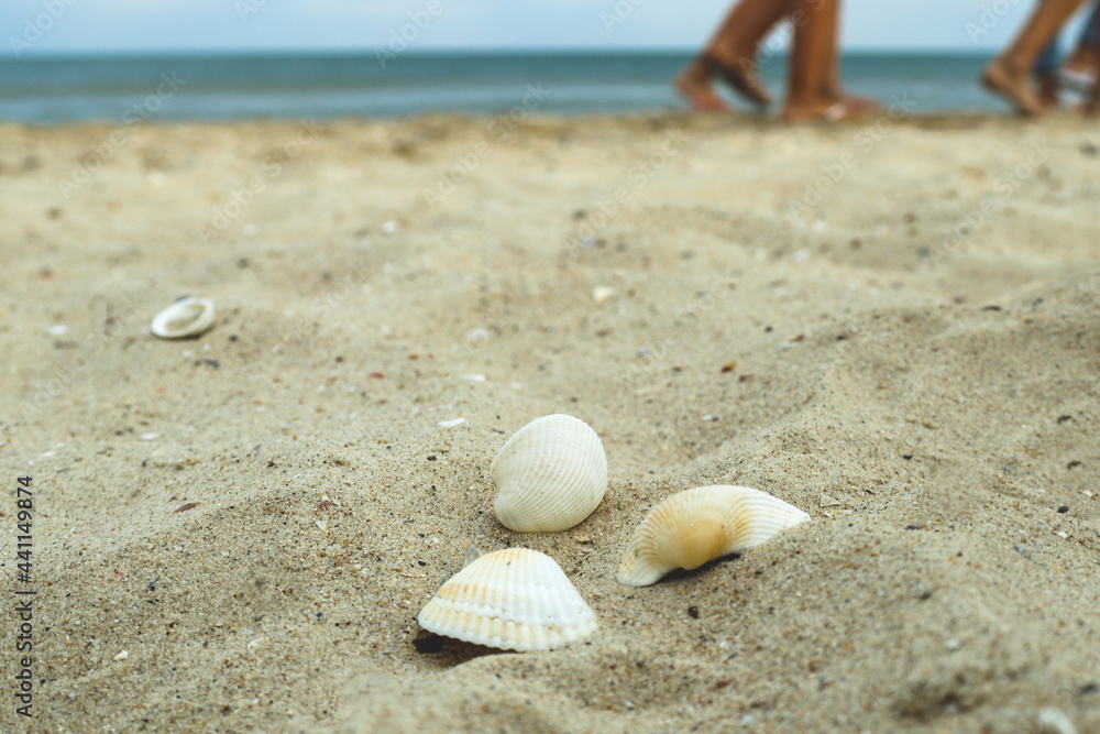 Three seashells on the sand on the beach by the sea against the background of people passing by Three seashells on the sand on the beach by the sea against the background of people passing by