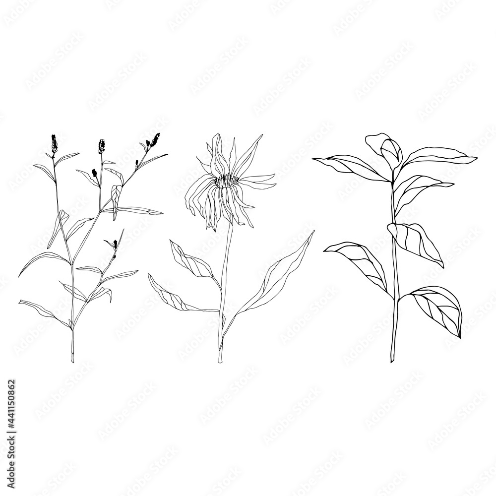 Naklejka premium Leaves and plants hand drawn flat illustration. Botanical design elements. Vector sketch clip art set.