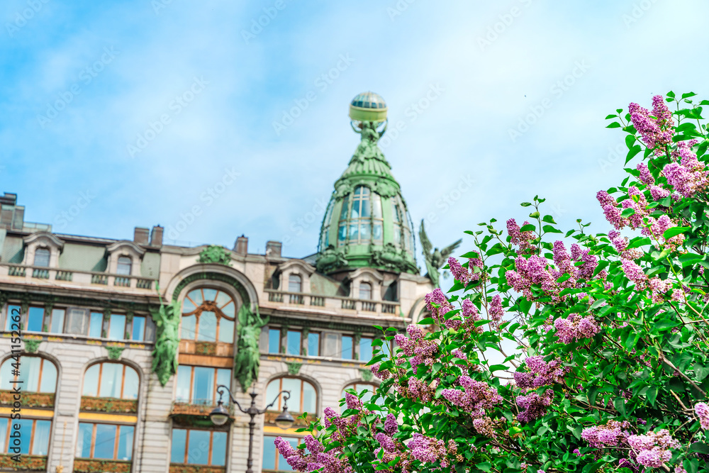 Naklejka premium The dome of the building Zinger under a branch of lilac flowers in St. Petersburg