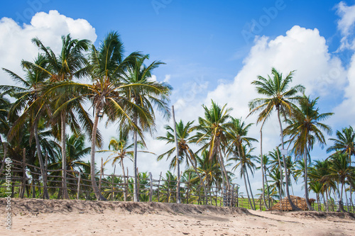 white sandy beaches on the island with coconut palms above the sea waves 