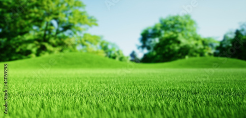 Green blurred landscaped background