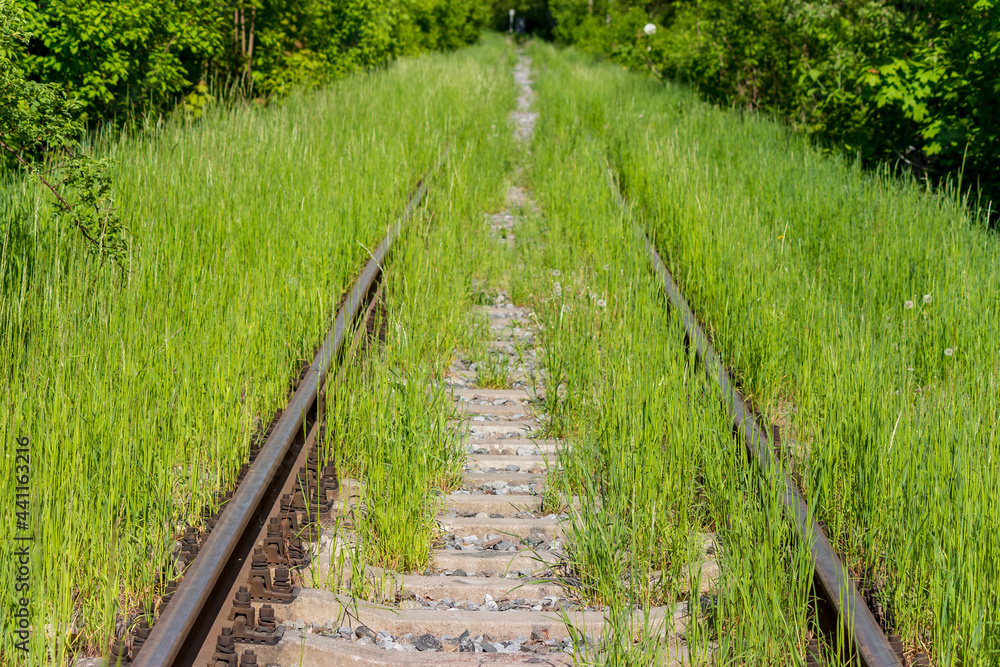 Railway rails and sleepers abundantly overgrown with green grass, abandoned railway tracks