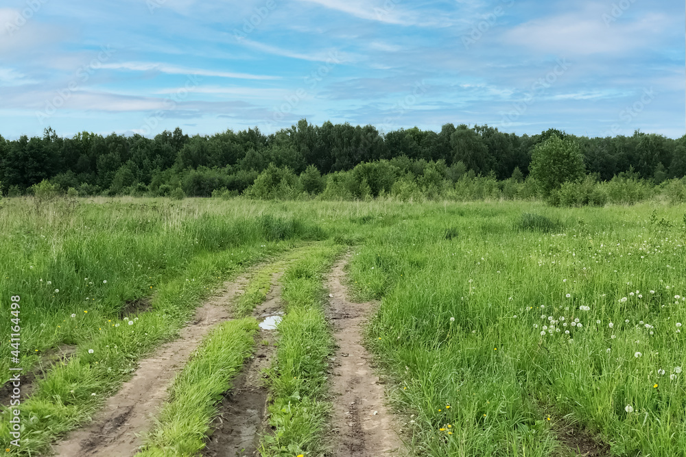 dirt road among green grass in the field with forest trees on horizon