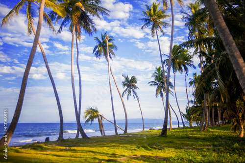 white sandy beaches on the island with coconut palms above the sea waves 