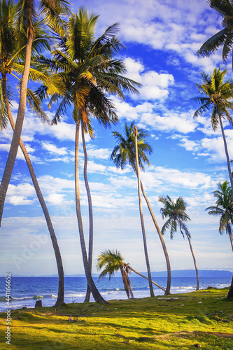 Fototapeta Naklejka Na Ścianę i Meble -  white sandy beaches on the island with coconut palms above the sea waves	