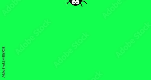 spider hanging on web halloween animated video animation