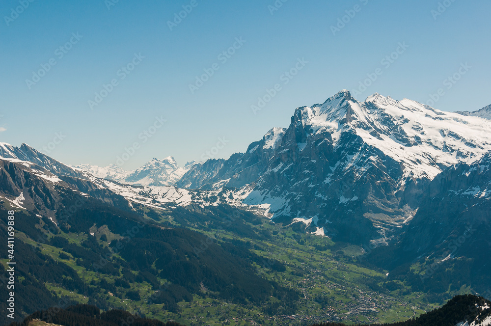 Grindelwald, Wetterhorn, Grosse Scheidegg, Oberläger, Schreckfeld, First, Männlichen, Aussicht, Wellhorn, Gistellihorn, Bärglistock, Berner Oberland, Alpen, Wanderweg, Höhenweg, Sommer, Schweiz