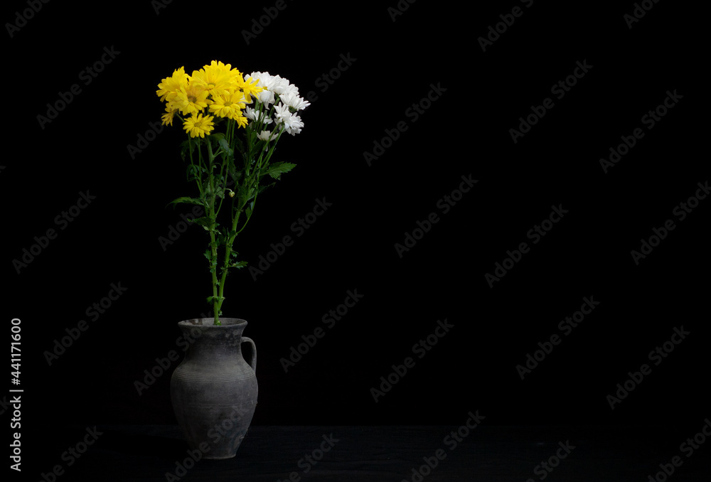 A group of chamomile isolated on a black background