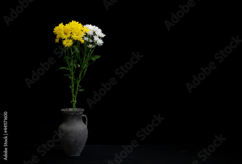 A group of chamomile isolated on a black background