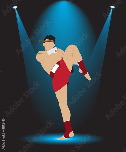 Muay Thai Show