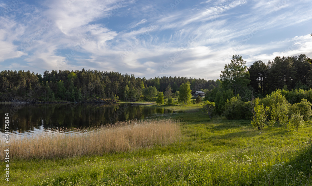Summer sunny evening by the lake. bright sunlight. Summer sunny evening by the lake. bright sunlight.