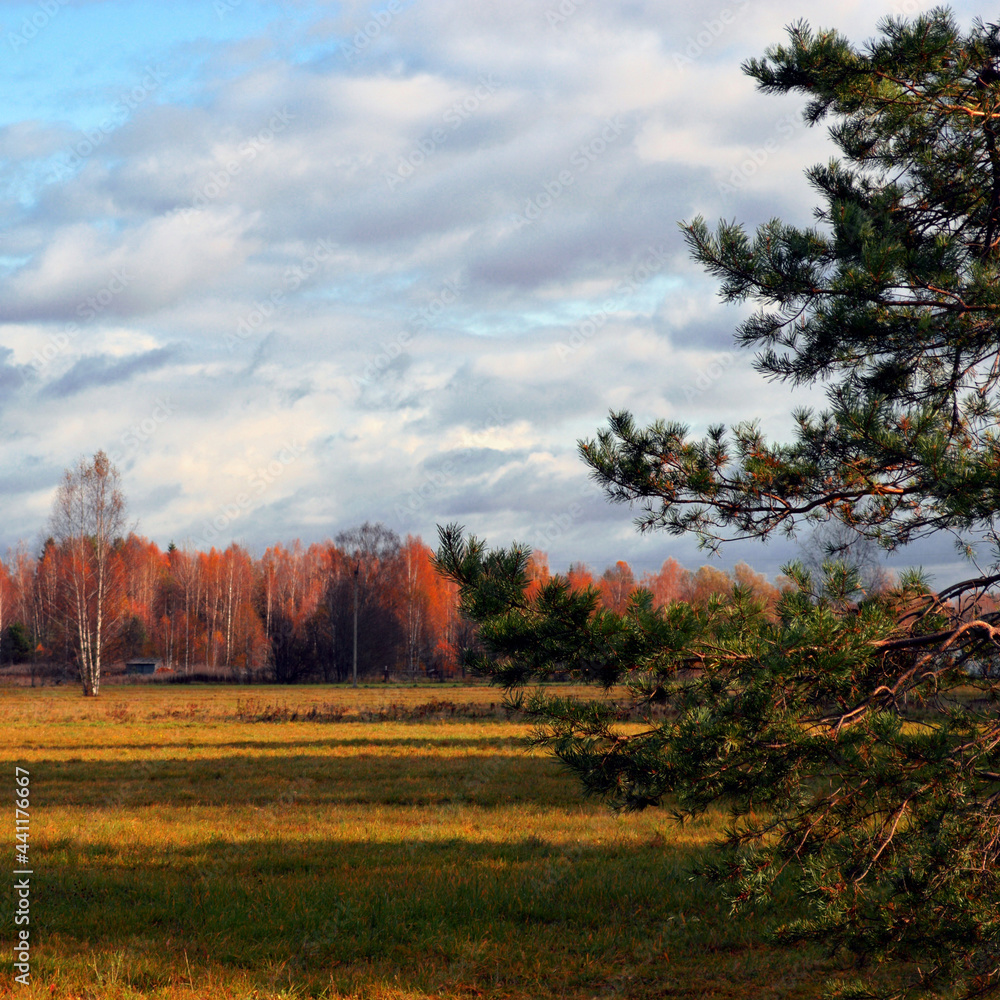 autumn landscape with trees autumn landscape with trees