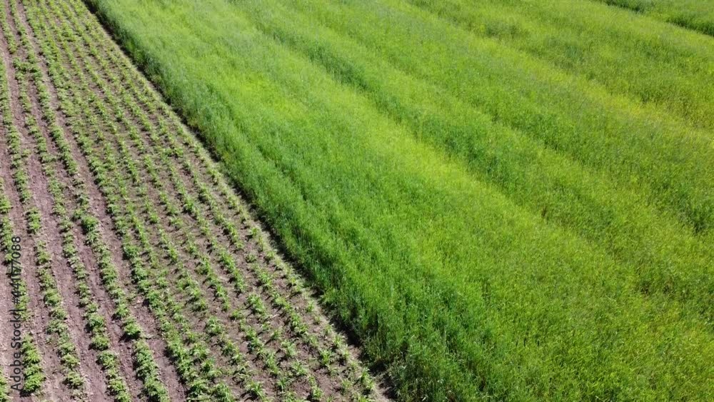Aerial drone view of a flying over the rural agricultural landscape. Aerial drone view of a flying over the rural agricultural landscape.