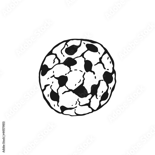 Round oatmeal cookies. Homemade biscuits. Hand drawn black and white vector illustration.