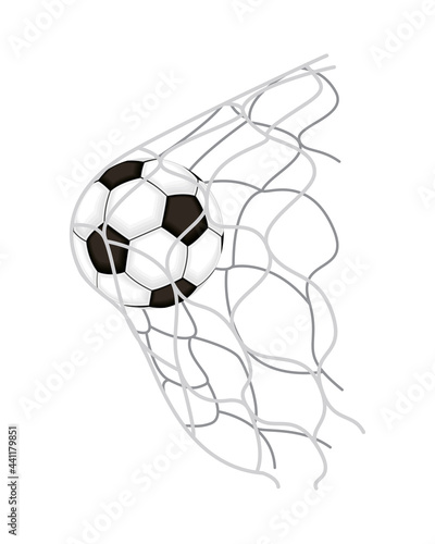 balloon in net