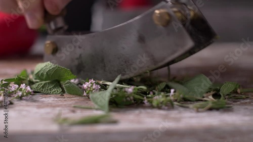 Mezzaluna mincing knife chopping fresh herbs on cutting board photo