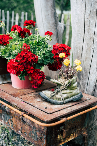 Unusual flower pots