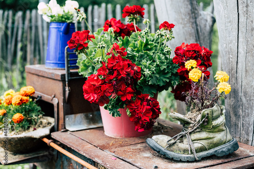 Unusual flower pots