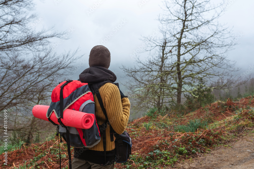 Unrecognizable traveler with backpack walking in forest Unrecognizable traveler with backpack walking in forest