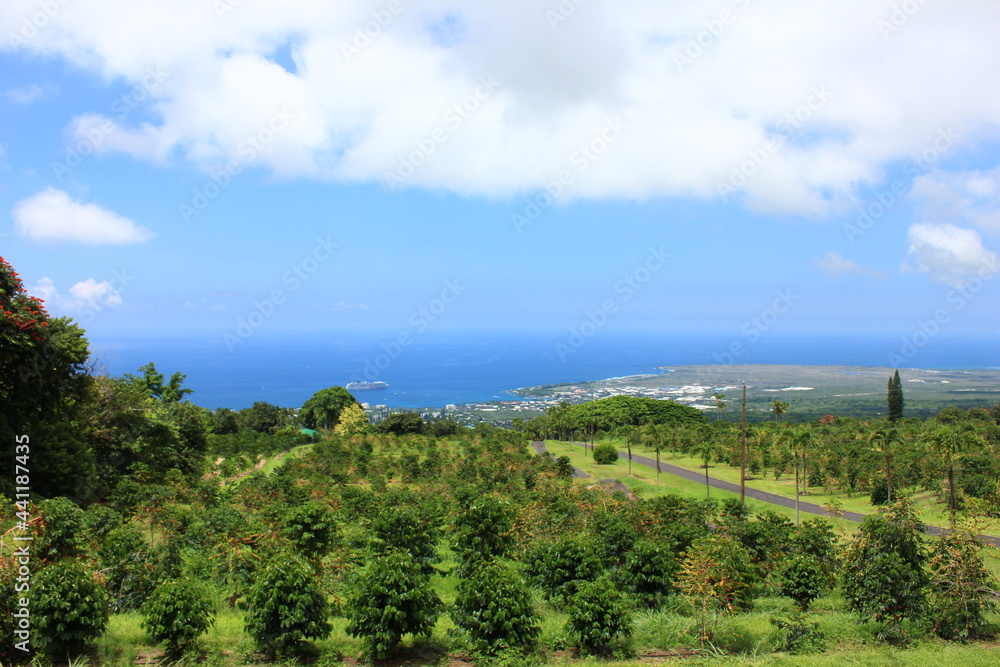 ハワイ島（ビッグアイランド）。緑の草に覆われた溶岩の大地と海に太陽の光が降り注ぐ