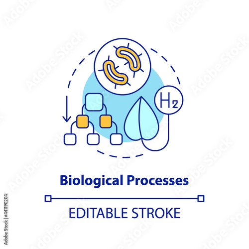 Biological processes for hydrogen concept icon. Bio fuel production method abstract idea thin line illustration. Using sunlight, organic matter. Vector isolated outline color drawing. Editable stroke photo