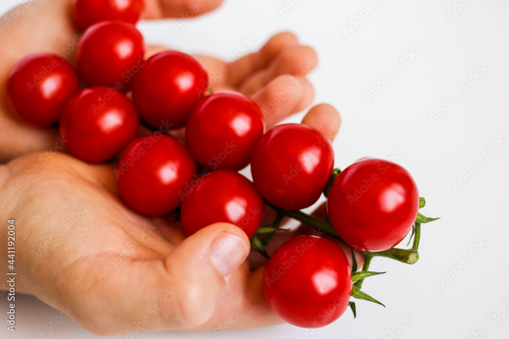 Fresh red delicious cherry tomatoes on white background. Summer agriculture. Italian cousine. Shallow depth of field selective focus creative image. Fresh red delicious cherry tomatoes on white background. Summer agriculture. Italian cousine. Shallow depth of field selective focus creative image.