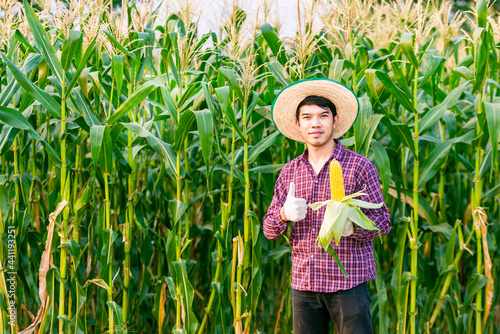 A farmer man in Asia wears a red plaid shirt with a hat and gloves. Stand holding a yellow corn with a thumbs up. Behind it is a corn garden.copy space