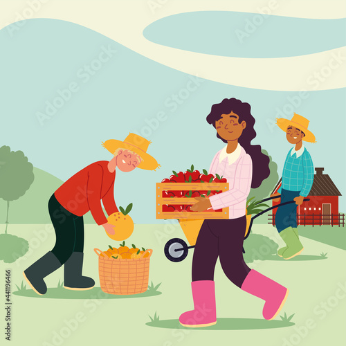 farmers picking fruits