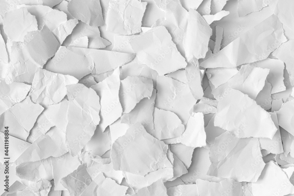 Obraz premium Crumpled torn white paper