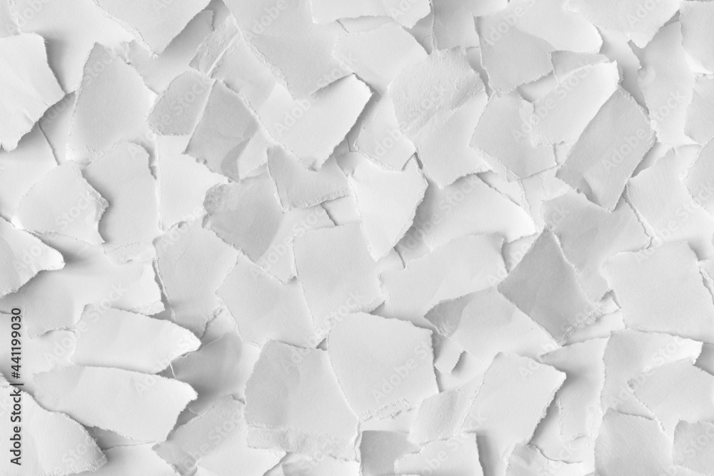 Obraz premium Crumpled torn white paper