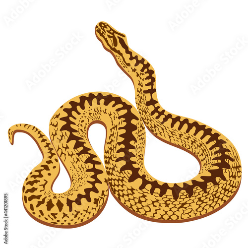 Vector isolated illustration of beige viper with brown spots.