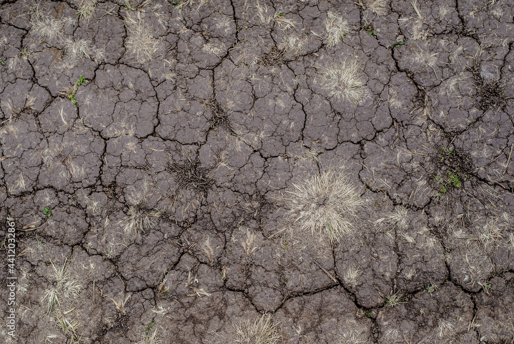 Cracked ground, abstract grunge background Cracked ground, abstract grunge background