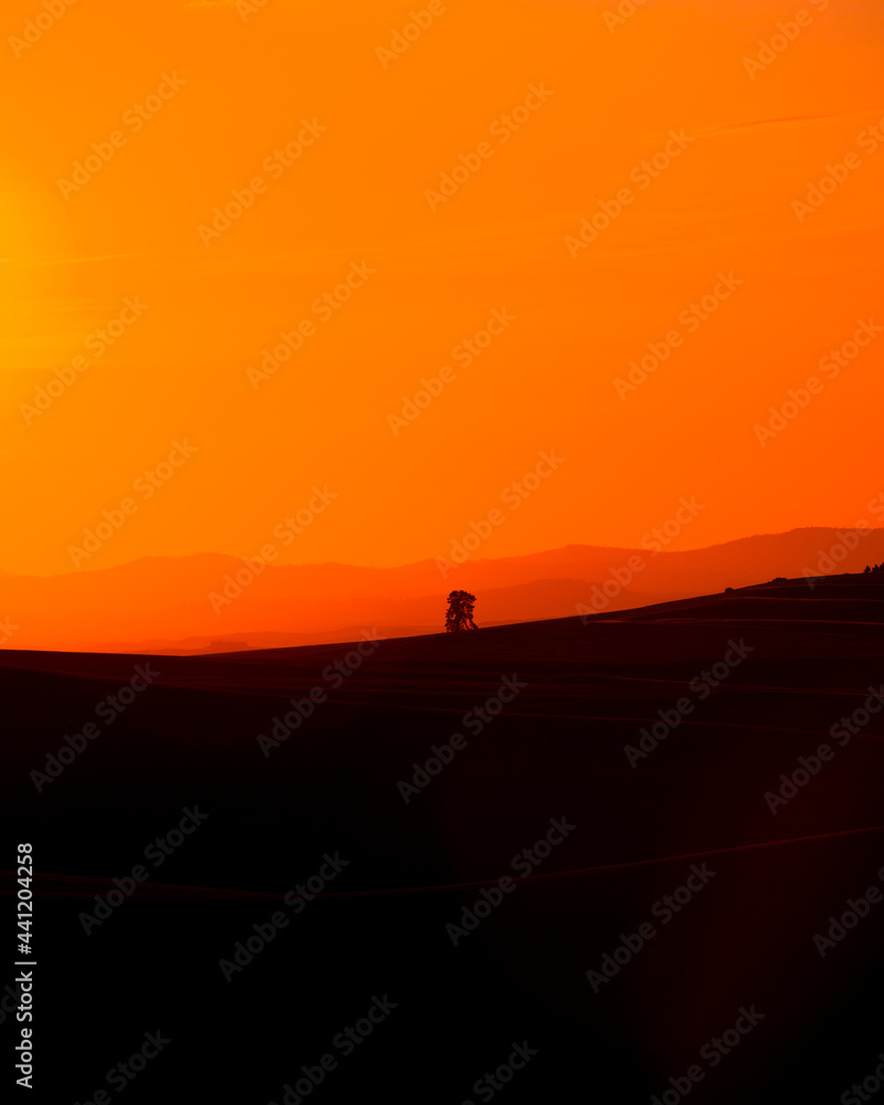 Vibrant orange sunset and hills with a single tree seen from the Palouse in Washington State