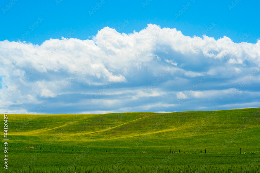 Idyllic rural landscape with farm wheat fields and blue sky seen from the Palouse in Washington State Idyllic rural landscape with farm wheat fields and blue sky seen from the Palouse in Washington State
