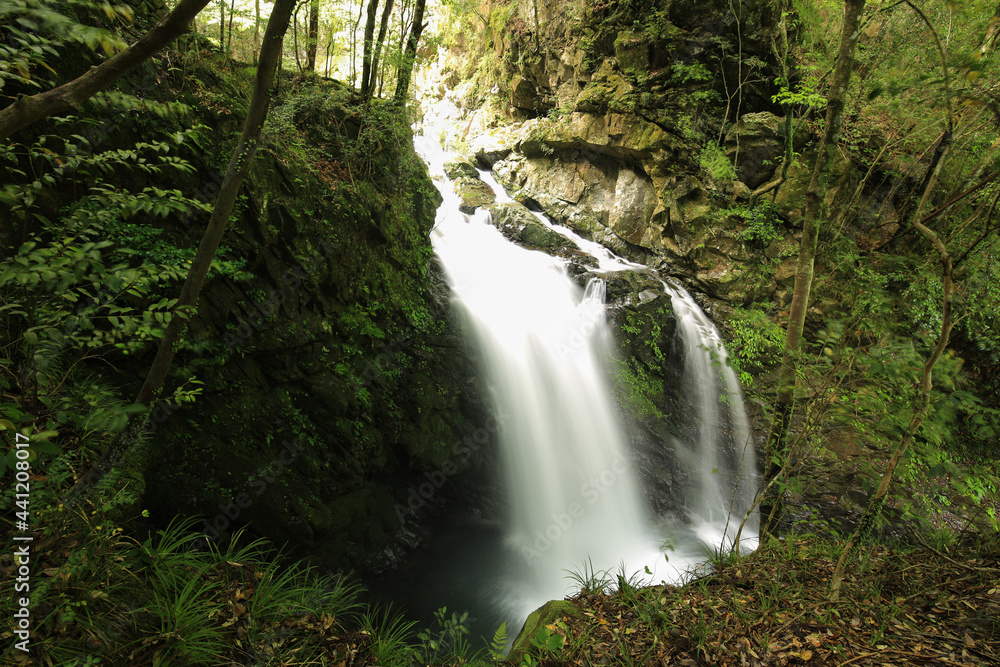 徳島県海陽町　轟九十九滝　丸渕滝