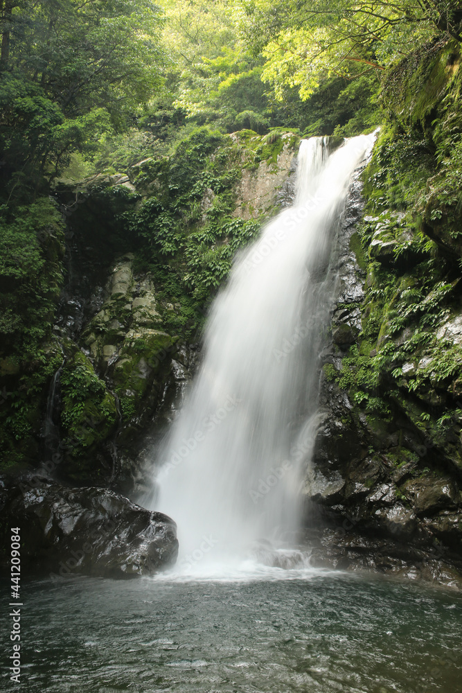 Obraz premium 徳島県海陽町 轟九十九滝 鳥返滝